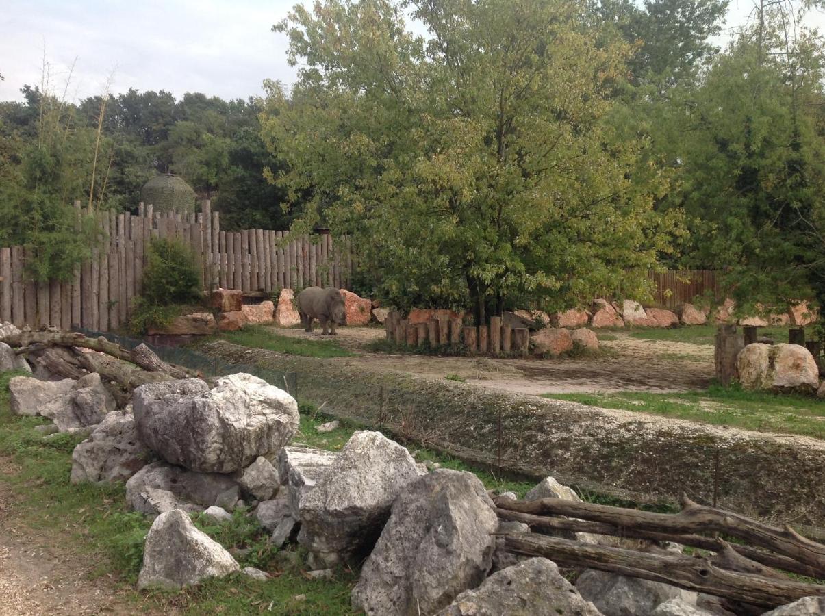 Residenza Al Sogno - On Lake Garda Cavaion Veronese Esterno foto