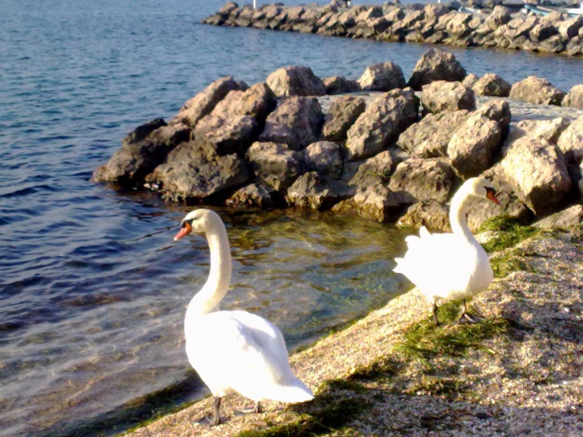 Residenza Al Sogno - On Lake Garda Cavaion Veronese Esterno foto